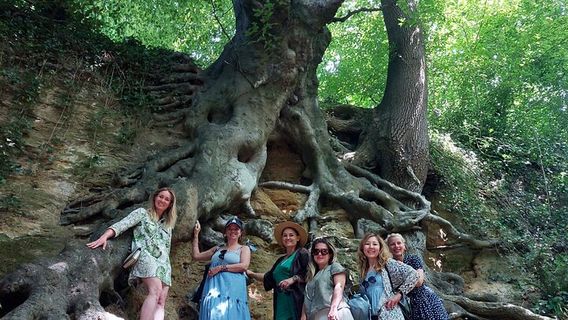 BristolTours