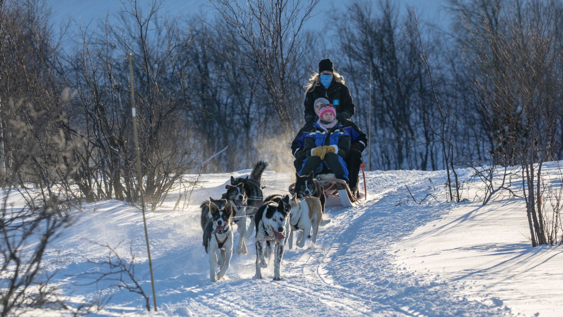 Giro in slitta trainata da cani a Kirkenes, Norvegia