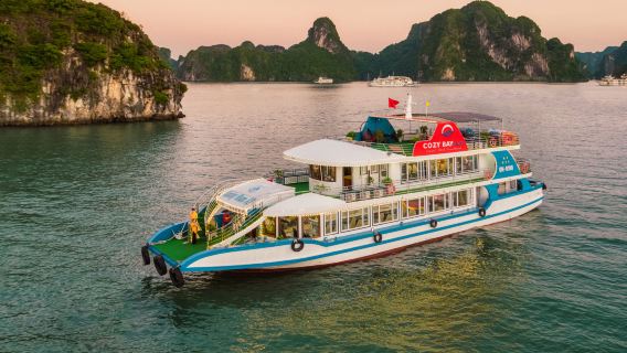 Vietnam Ha Long Bay + Ti Top Island + Sung Sot Cave [Cozy Bay Cruise|Buffet lunch