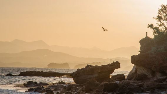 和歌山市日遊