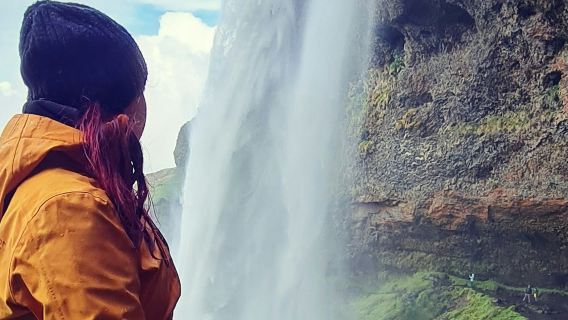 Sur de Islandia: Visita guiada para explorar las cascadas