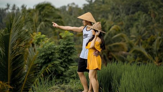 Suaka Hutan Monyet Ubud & Tur Ayunan Hutan Tur Privat