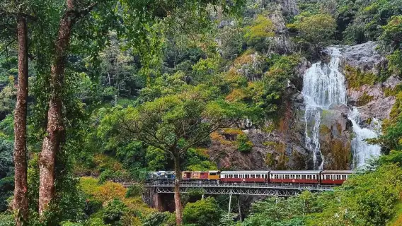 เมืองป่าฝนคูรันดา + สวนโคอาล่า + รถไฟ + แคนส์|รถเช่าเหมา ทัวร์วันเดียว/ทัวร์หลายวัน|ภาษาจีนและภาษาอังกฤษ