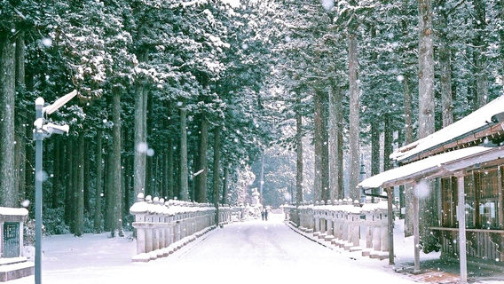 和歌山市日遊