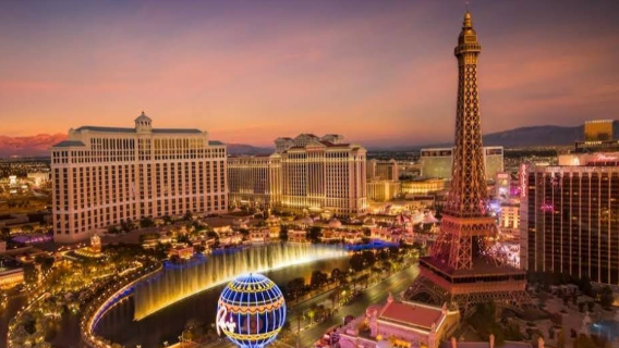 美國拉斯維加斯大道拉斯維加斯湖+豪客摩天輪+仙人掌植物園日遊