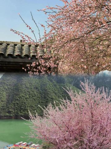 【2-8人小團】鄭國渠一日遊/西安市三環內接/2人起