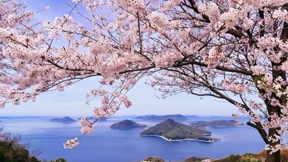 觀音寺市