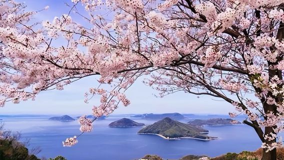 安藝市日遊
