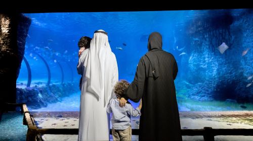Abu Dhabi Attraction: The National Aquarium Abu Dhabi Day Tours 2