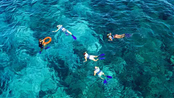 Isla Mujeres: Premium Catamaran Tour from Cancún