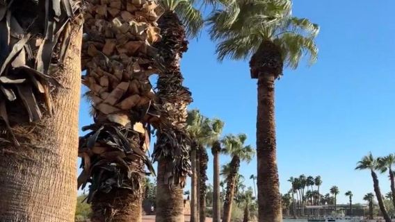 美國鳳凰城亞利桑那州議會大廈一日遊/行程可調-可客製化多日