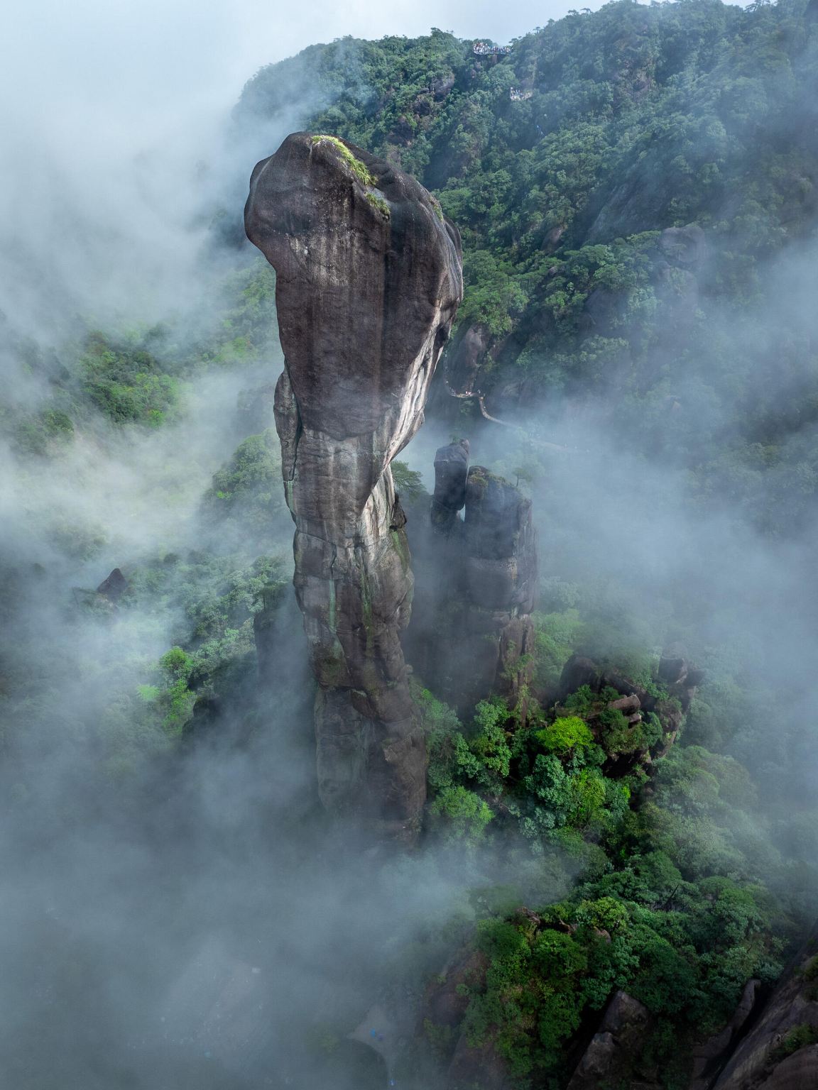 เจียงซี ซ่างเหรา: ภูเขาซานชิง + หุบเขาเทวดา [เหมารถ | ทัวร์ส่วนตัว | ไกด์นำเที่ยวหลายภาษา]