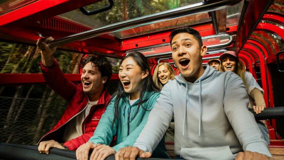 Blue Mountains: Guided Day Tour from Sydney + Sydney Zoo & Scenic World Entry