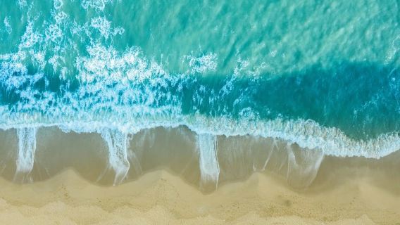 Туристический курорт Маомин-Ферст- однодневный тур+ Яньцзинлин + Внутренний залив Бабуджи (доступно на английском языке)