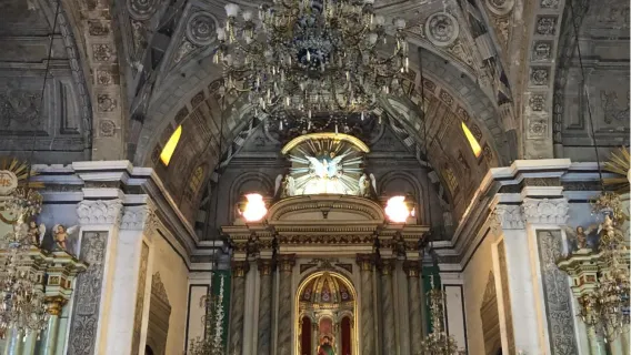 Manila, Philippines + City Private Charter, Business Vehicle/Adjustable Itinerary/Door-to-Door Pickup