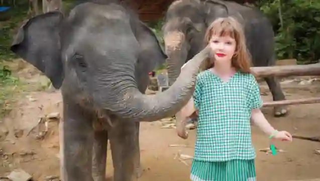 布吉島芭東擁抱大象保護營【洗澡/餵食/親子互動/酒店接送】