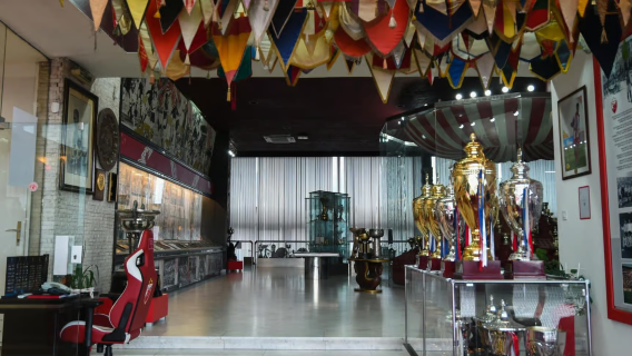 Red Star Football Club Stadium Ticket (Immersive Tour of Rajko Mitic Stadium)