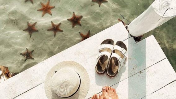 Grand Cayman: Bandar Stingray, Titik Starfish & Gua Kristal