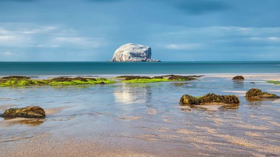 Từ Edinburgh: Chuyến đi trong ngày đến East Lothian Sands & Castles