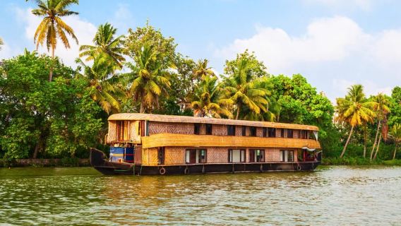 Cochin: Du thuyền Alleppey trong ngày kèm bữa trưa