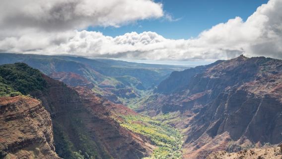 Kauai: Tham quan Hẻm núi Waimea và Công viên Bang Koke'e