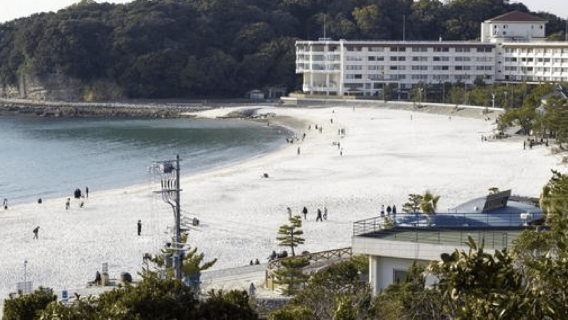 วากายามะ: ทัวร์ส่วนตัวแบบปรับแต่งได้หนึ่งวัน