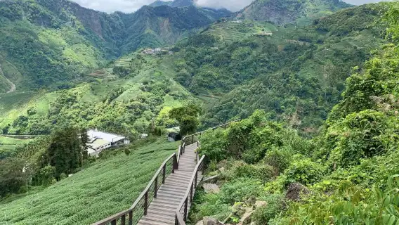 豐山漫步雲端步道賞花觀瀑行