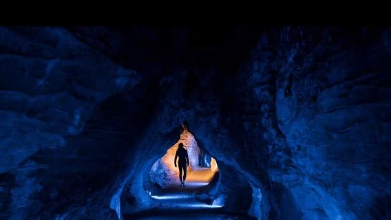 奧克蘭來回【霍比特村+懷托莫螢火蟲洞】魔界迷的中土世界一日遊