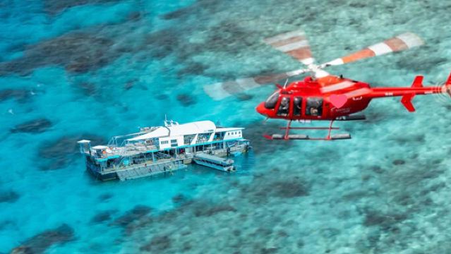 ケアンズ リーフ マジック クルーズ ワンデーツアー【ヘリコプター/ダイビング/ブッフェランチ付き】