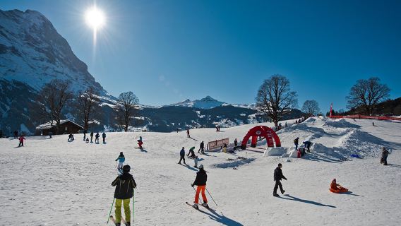 Swiss Ski Experience