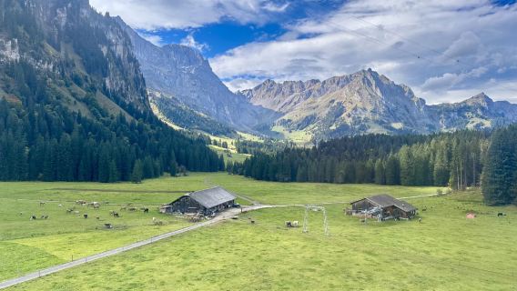 瑞士蘇黎世+琉森黃金環線經典之旅【中文包車一日遊】