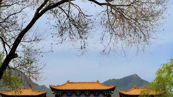 信陽市區來回包車｜震雷山-靈山一日遊（多車型可選）