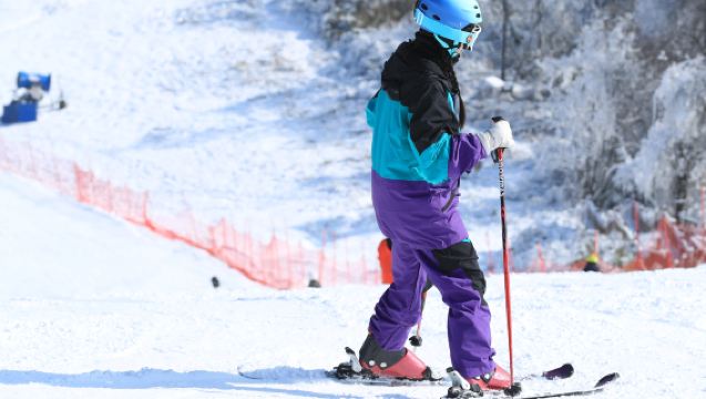 綠蔥坡滑雪場一日遊【含三件套．純玩】+賞雪坐纜車