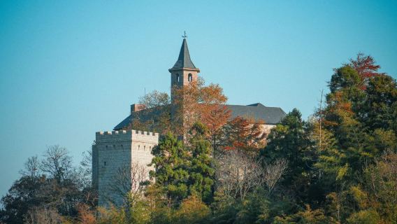 莫幹山風景名勝區半日遊【含門票+景區接駁+2小時人文講解】