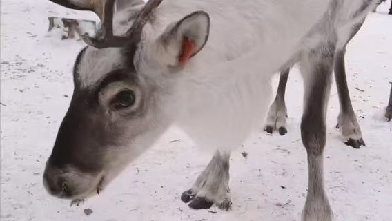 ทัวร์ 1 วัน ยอดเขาหิมะเซียนเฟิง + ล่องแพน้ำค้างแข็ง บริสุทธิ์ไม่มีช้อปปิ้ง