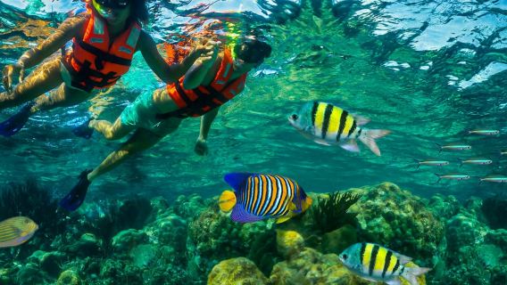 Barriera corallina di Puerto Morelos: avventura di snorkeling con pranzo in spiaggia