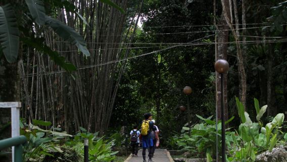 Parque Kinabalu y Aguas Termales Poring (primer Patrimonio de la Humanidad)