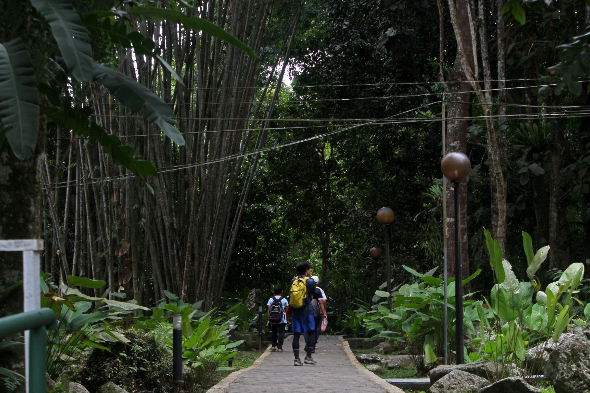 Kinabalu Park & Poring Hotspring (First World's Heritage)