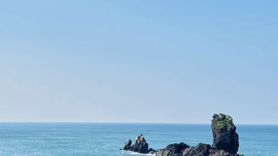 韓國境內  專業翻譯|旅遊地陪|商務翻譯|展會翻譯|陪同拜訪|中文&韓語&英語翻譯