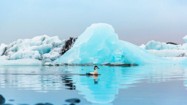 Iceland glacier lagoon + diamond beach + south coast Vik town Reynisfjara Beach English/Chinese day tour optional transfer