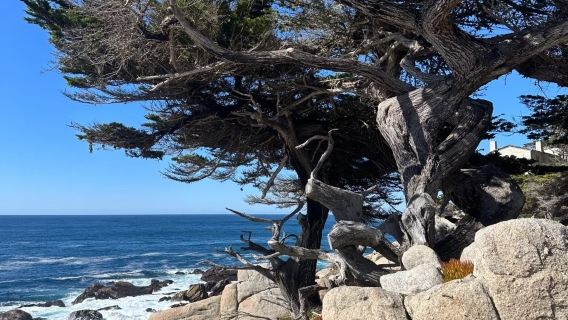 美國洛杉磯-丹麥村-蒙特雷-1號公路-舊金山-包車-精選