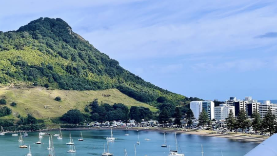 紐西蘭奧克蘭-教堂灣-熱水海灘-可定制【中文專車-愜意舒適】