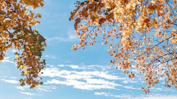 美國西雅圖+奇胡利玻璃藝術園一日遊/行程可調-可定制