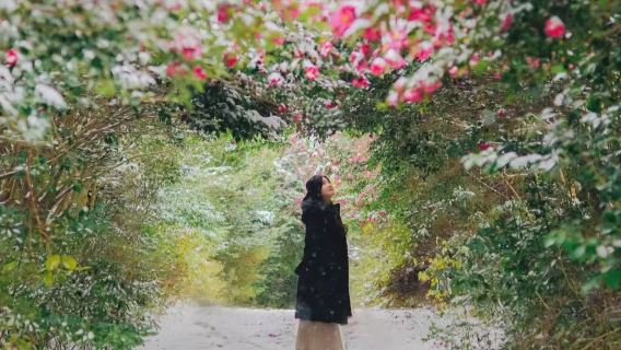 濟州島西南線一日遊｜冬季限量｜漢拿山｜追海豚｜小羊｜15人團