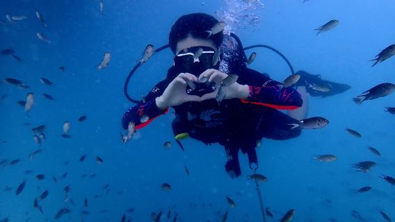 Esperienza di immersione subacquea a Pattaya, Thailandia per 1 giorno [Per principianti senza certificazione | Immersione subacquea professionale | Istruttore 1V1]|2 immersioni subacquee