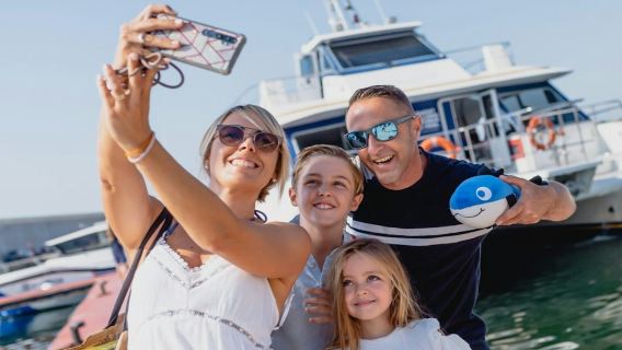 薩洛：鮪魚導覽之旅