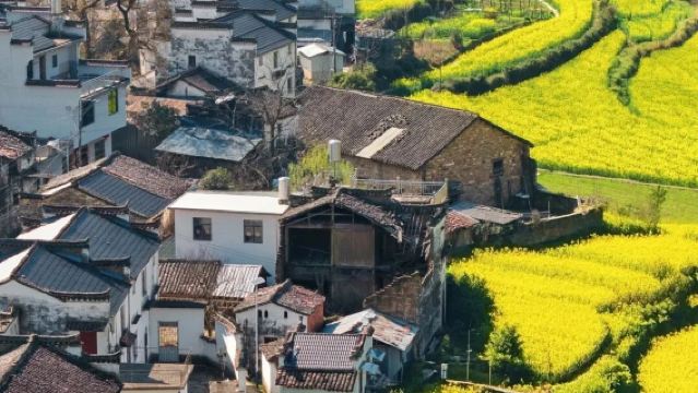 Однодневный тур в Уюань: Хуанлин + Ликэн [доступны варианты: мини-группа до 6 человек/без шопинга/премиум/отдых с высокими оценками]