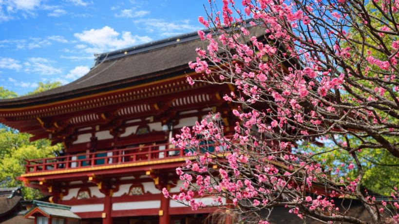 Yanagawa Island One-Day Tour