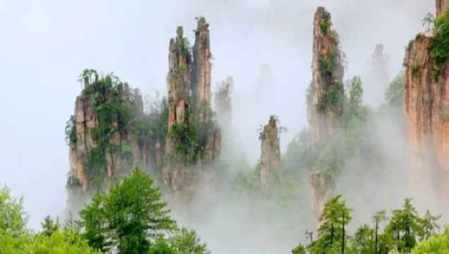 Seluruh wilayah Hunan - Changsha, Zhangjiajie, Jishou, Yueyang, Hengyang | Pemandu pelancong dalam Bahasa Cina/Inggeris (untuk bahasa lain sila hubungi sokongan pelanggan) | Penterjemah pameran | Penterjemah lawatan perniagaan | Sewaan peribadi untuk pelancongan