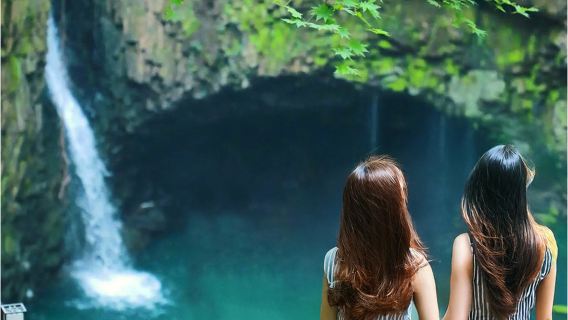 [ออกเดินทางจากโซล] ทัวร์วันเดียวไปพาชอน | น้ำตกถุงนกพิราบ + เกาะสมุนไพร